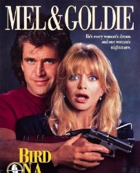 【轰天俏娇娃 Bird on a Wire】[BT下载][英语][喜剧/动作][美国][Mel Gibson/Goldie Hawn][720P]