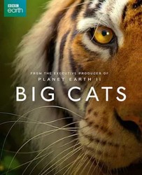【大猫 Big Cats】[BT种子下载][英语][纪录片][英国/美国/法国][博迪·卡维尔 Bertie Carvel][1080P]